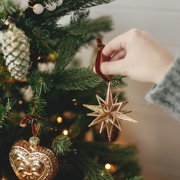 Lidl : Sapin de Noël Nordman ou enneigé pas cher