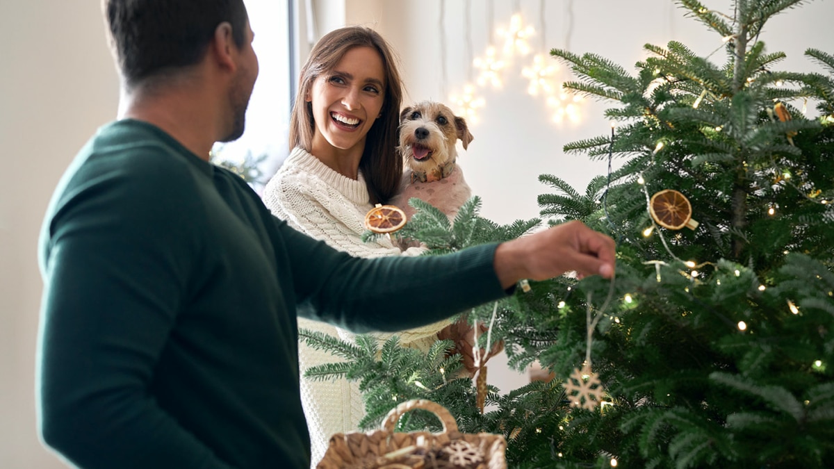 Lidl : Sapin de Noël Nordmann 1er choix pas cher