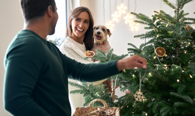 Lidl : Sapin de Noël Nordmann 1er choix pas cher (dès 14,99€)