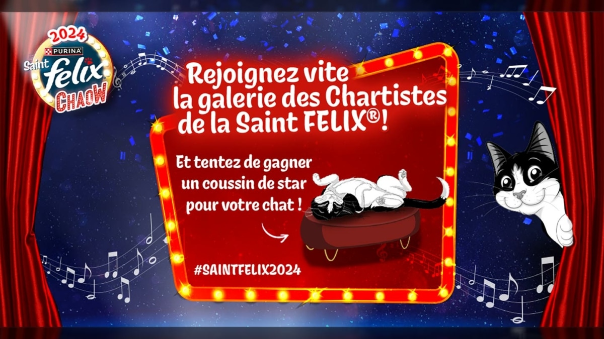 Jeu Saint Felix Purina : 50 fauteuils en velours pour chat à gagner