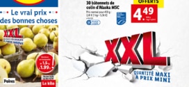 Catalogue Lidl « XXL » du mercredi 11 au mardi 17 janvier 2023