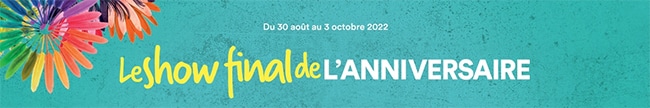 Jeu 50 ans BUT Le show final de l'anniversaire