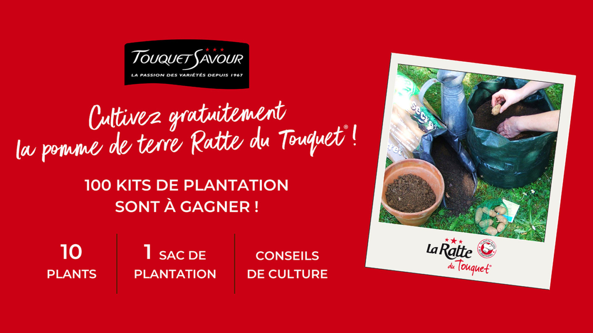 Jeu Touquet Savour : 100 kits de plantation Ratte du Touquet à gagner
