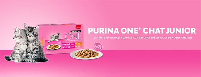 Testez gratuitement les Effilés en sauce Purina