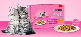 Test Purina : 300 packs de sachets fraîcheur pour chatons gratuits