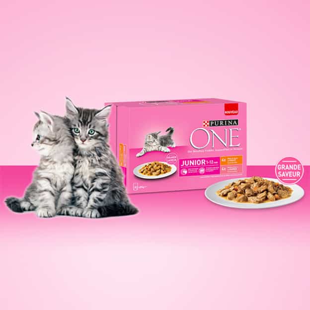 Test Purina : 300 packs de sachets fraîcheur pour chatons gratuits