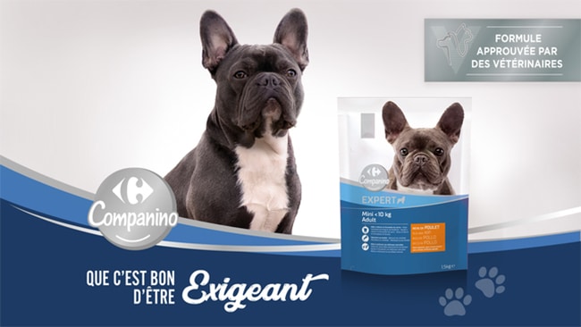 testez gratuitement les croquettes pour chiens Carrefour Companino Expert