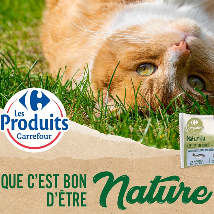 Test Carrefour Companino Naturally Chats 2 000 Packs Gratuits