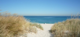 TER Mer Hauts-de-France : date et destination
