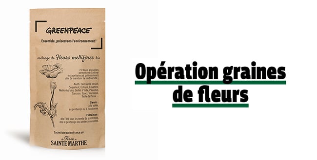 Sachet de graines de fleurs mellifères avec Greanpeace