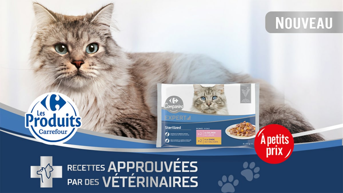 Test Carrefour : 2’500 packs Companino Expert pour chat gratuits