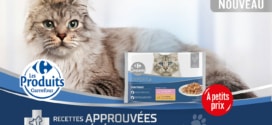 Test Carrefour : 2’500 packs Companino Expert pour chat gratuits