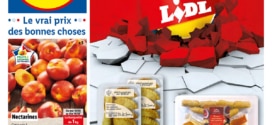 Catalogue Le Prix Lidl : Promos de folies du 10 au 16 août 2022 (fournitures scolaires…)