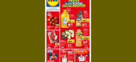 Catalogue Lidl du mercredi 28 juin au mardi 4 juillet 2023