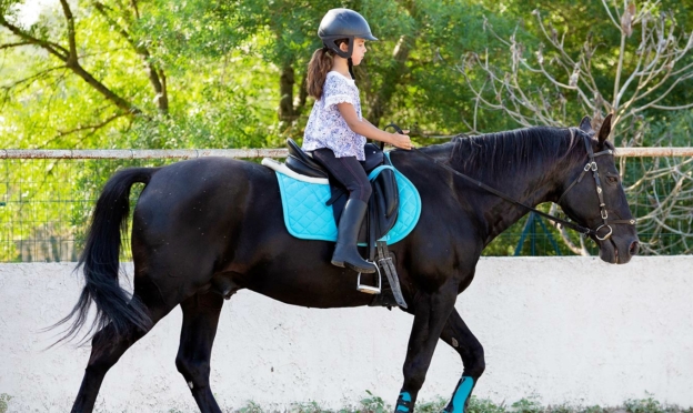 Journée du cheval - Tous à cheval FFE 2023