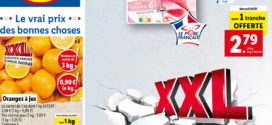 Catalogue Lidl « XXL » du mardi 4 au mercredi 10 janvier 2023