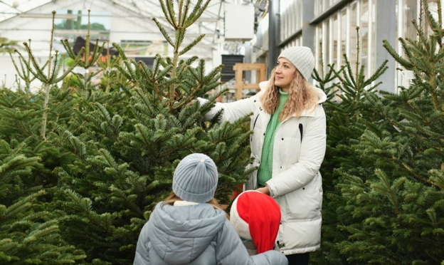 Sapin de Noël Jardiland : 15€ offerts en bon d’achat