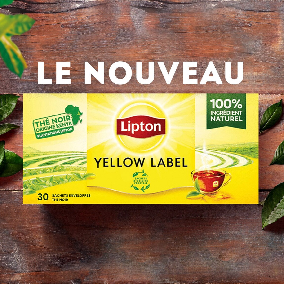 Thé vert menthe intense LIPTON