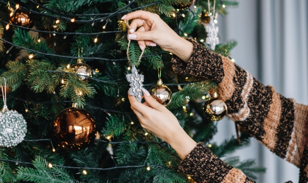 Bon plan Sapin de Noël chez Intermarché : Bon d’achat offert