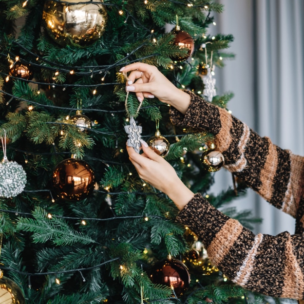 Bon plan Sapin de Noël chez Intermarché : Bon d’achat offert