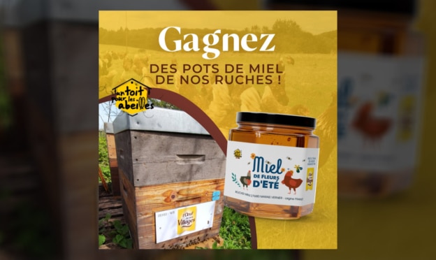 Jeu L’Œuf de nos Villages : 400 coffrets de pots de Miel à gagner