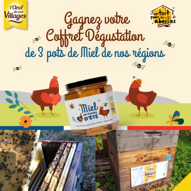 Jeu L’œuf de nos villages : 250 coffrets Miel régionaux à gagner