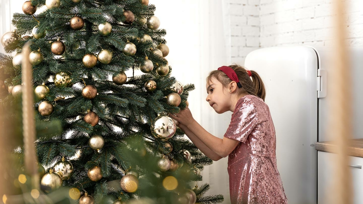 Bon plan Sapin de Noël chez Intermarché : Bon d’achat offert