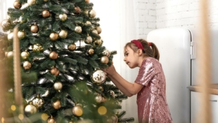 Bon plan Sapin de Noël chez Intermarché : Bon d’achat offert