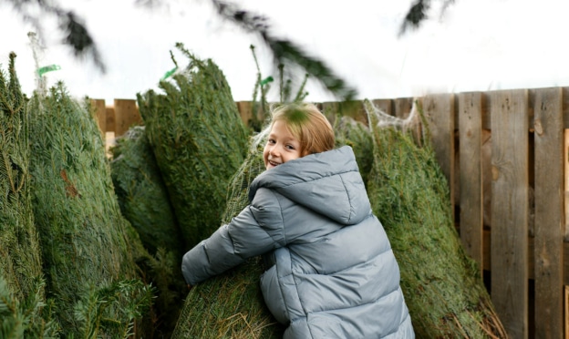 Sapin de Noël pas cher 2024 : Bons plans, petits prix, promos…