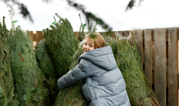 Sapin de Noël pas cher 2023 : Bons plans, petits prix, promos…