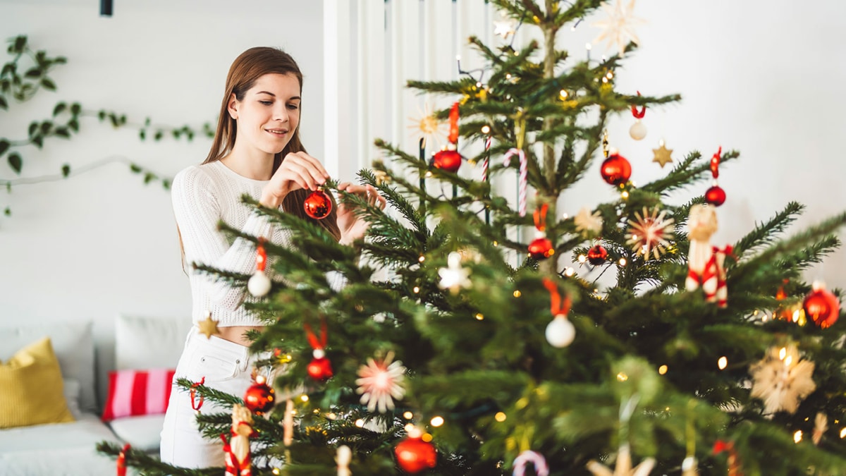 Auchan : 1 sapin de Noël acheté = bon d’achat de 10€ offert