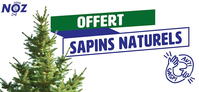 Sapins de Noël gratuits chez NOZ : Evitez le gaspillage en adoptant les conifères invendus