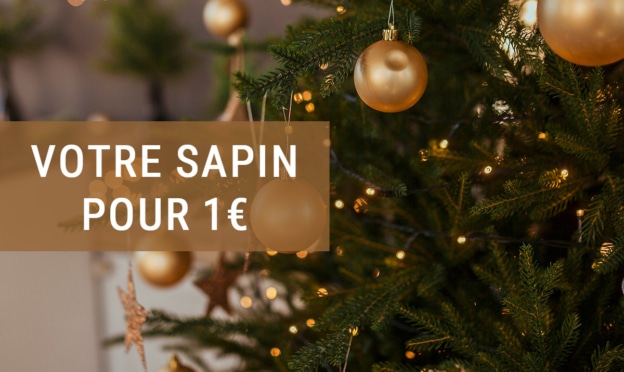 Géant / Super Casino : Sapin de Noël pour 1€ (remboursé en bon d’achat)