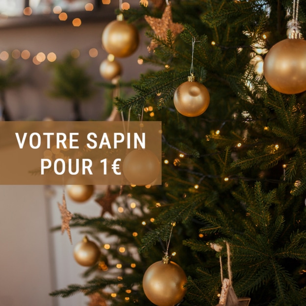 Géant / Super Casino : Sapin de Noël pour 1€ (remboursé en bon d’achat)