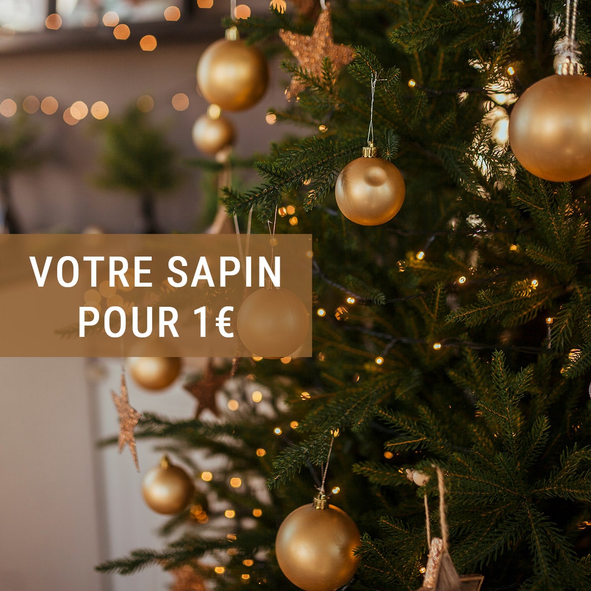 Géant / Super Casino Sapin de Noël pour 1€ (remboursé en bon d'achat)