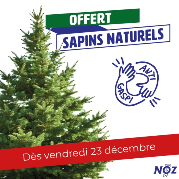 NOZ propose des Sapins de Noël gratuits : Anti-gaspi