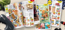 Catalogue Lidl de la semaine en ligne : Promos et arrivages 2024