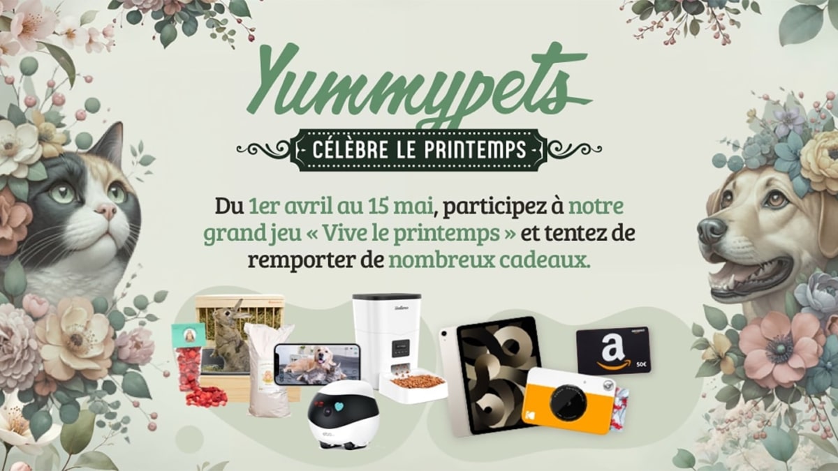Jeu Yummypets : iPad Air, cartes cadeaux Amazon, … à gagner
