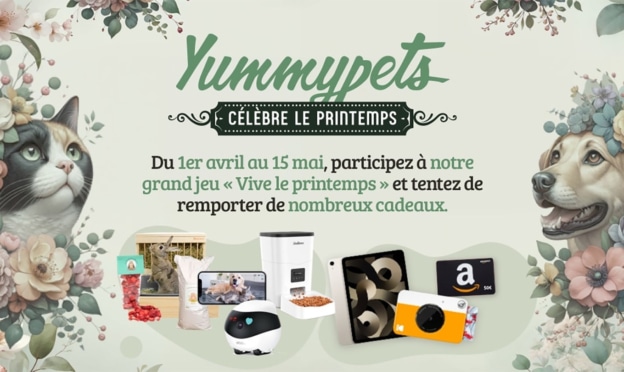 Jeu Yummypets : iPad Air, cartes cadeaux Amazon, … à gagner