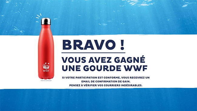 cadeau jeu Saupiquet Ensemble pour les océans