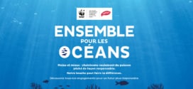 Jeu Saupiquet Ensemble pour les océans : Week-ends à gagner