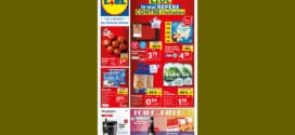 Catalogue Lidl du mercredi 14 au mardi 20 juin 2023