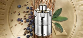 Échantillons gratuits de l’eau de parfum Azzaro Wanted