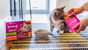Échantillons gratuits Whiskas : Sachets fraîcheur pour chats offerts