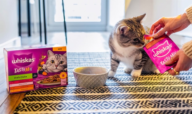 Échantillons gratuits Whiskas : Sachets fraîcheur pour chats offerts