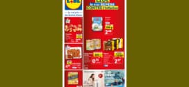 Catalogue Lidl du mercredi 21 au mardi 27 juin 2023