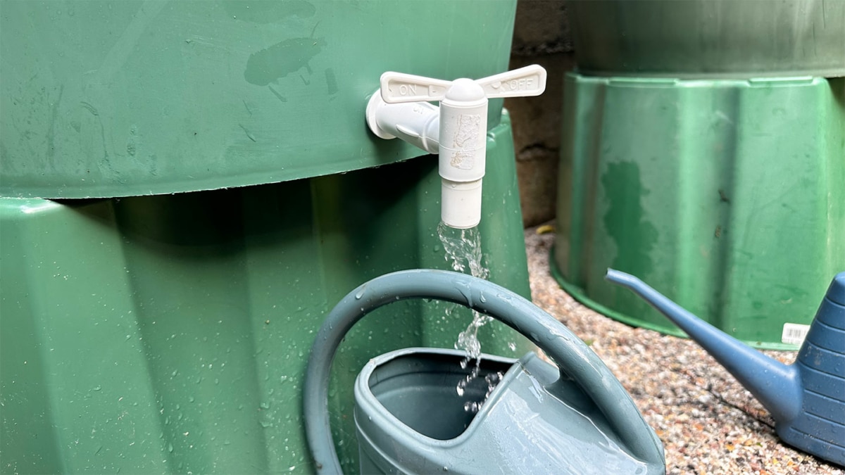 Cette région offre jusqu’à 20’000 euros pour l’installation d’un récupérateur d’eau de pluie