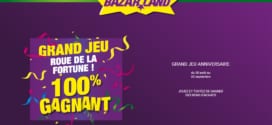 Jeu Anniversaire Bazarland : Séjour au Parc Astérix et bons à gagner