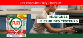 Jeu Fairy sur Envie de plus © enviedeplus.com