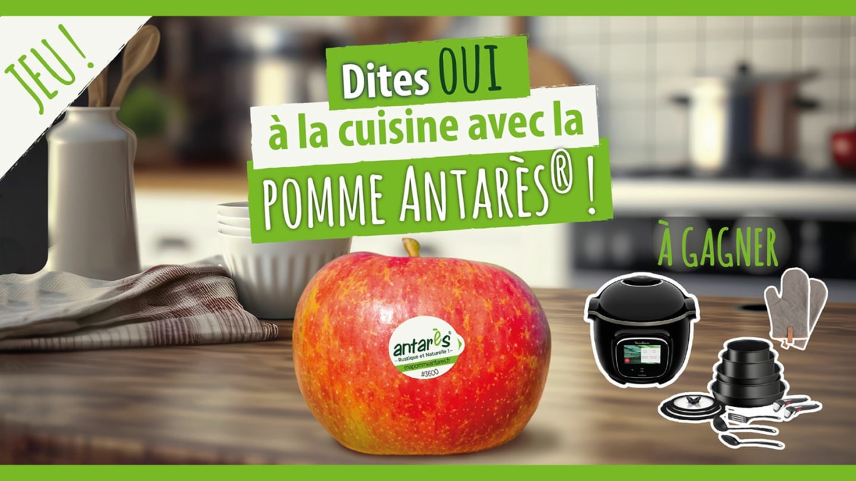 Jeu Antarès : Cookeo, batteries Tefal et maniques à gagner